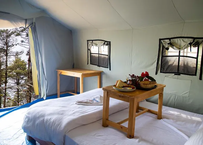 Bed & Breakfast Forest Camp