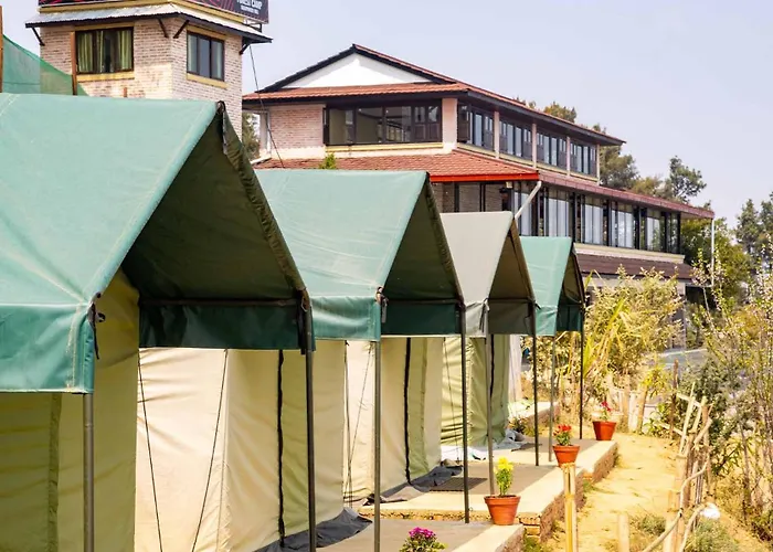 Bed & Breakfast Forest Camp